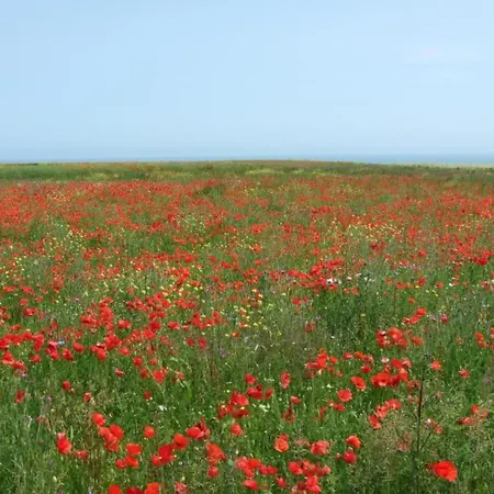 Holiday Home In Bayeux Near The Sea, Cleaning Included Sainte-Honorine-des-Pertes